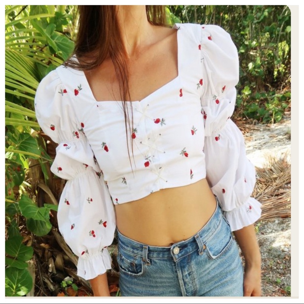 RACHEL ANTONOFF MADELINE CORSET TOP - ROSE EMBROIDERY